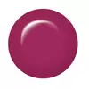 IBD JUST GEL POLISH PLUM PICKINGS