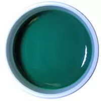 LAQUEE RETTE - UV PURE GREEN NAIL GEL 0.5 OZ ( 14G )