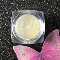 MAGIC MIRROR LIGHT GREY CP09 CHROME POWDER PIGMENT