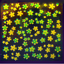 HOLOGRAM 3D STICKERS SKUHGB431