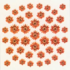 DRIED FLOWERS 3D NAIL STICKERS SKU3DDF13