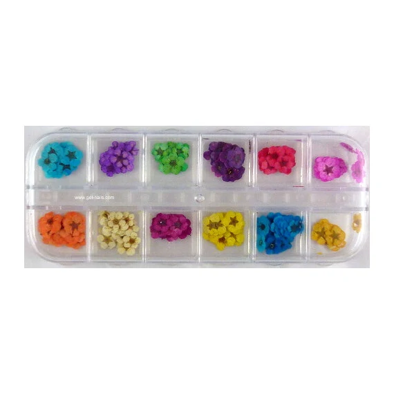 DRIED FLOWERS - 12 KINDS