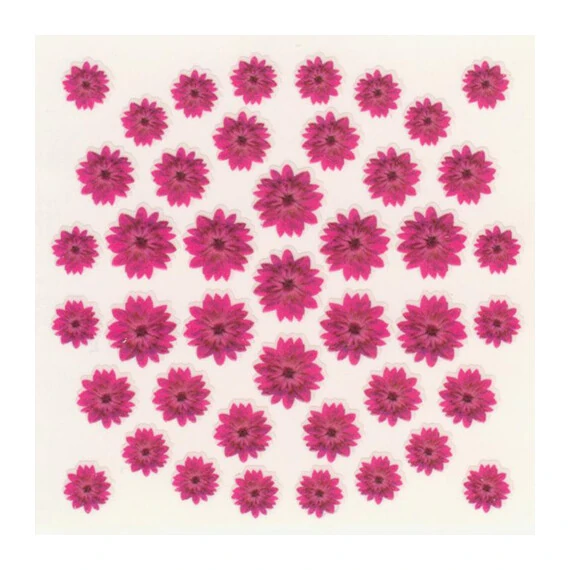 DRIED FLOWERS 3D NAIL STICKERS SKU3DDF12