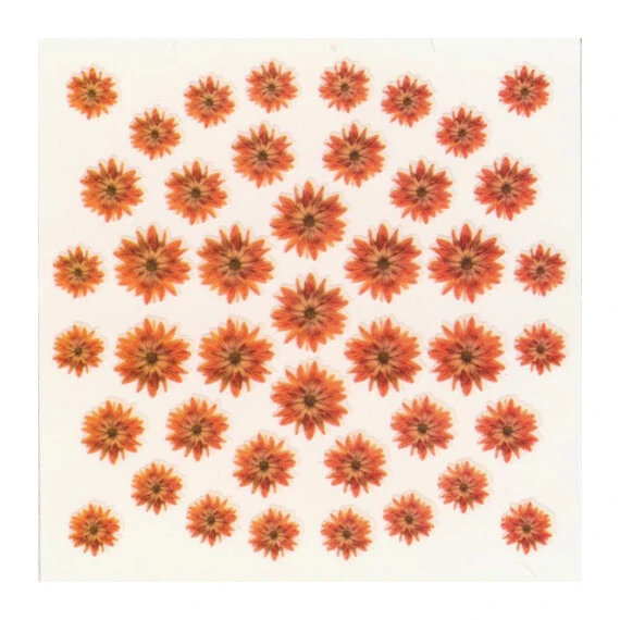 DRIED FLOWERS 3D NAIL STICKERS SKU3DDF13