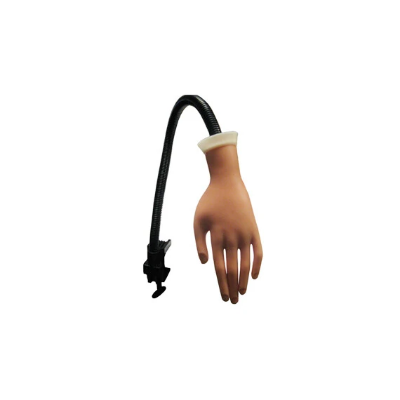 PRACTICE HAND WITH HOLDER