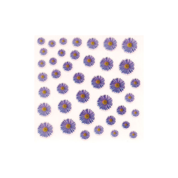 DRIED FLOWERS 3D NAIL STICKERS SKU3DDF18